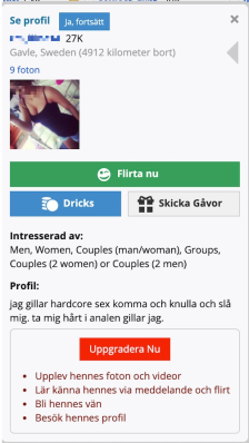 AdultFriendFInder Profilkvalitet