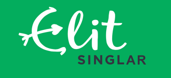 ElitSinglar Logo